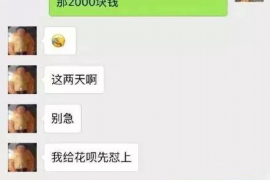 上海贷款清欠服务